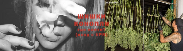марки nbome Богданович
