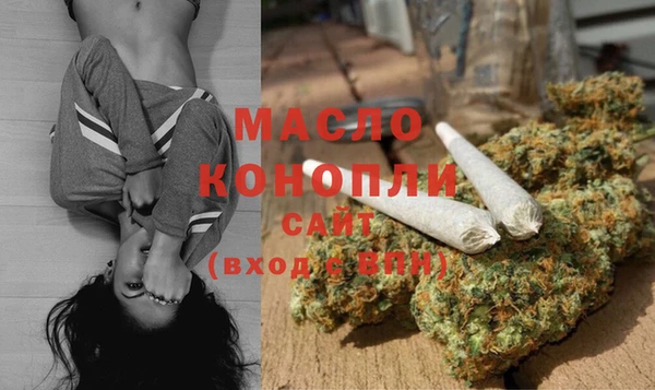 гашик Богородск