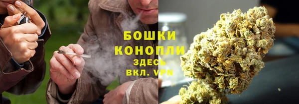 гашик Богородск