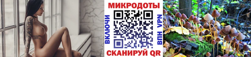 Галлюциногенные грибы Psilocybine cubensis  Котельники 